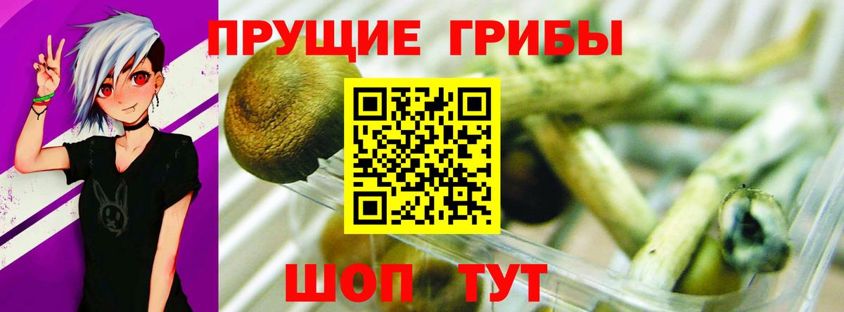 Псилоцибиновые грибы прущие грибы  Вход с VPN  Норильск 