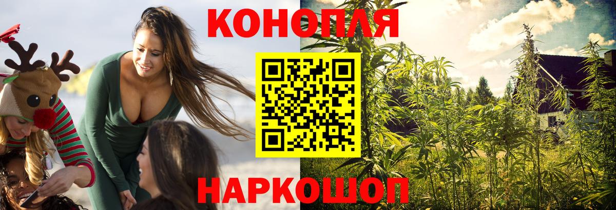 Марихуана планчик Норильск